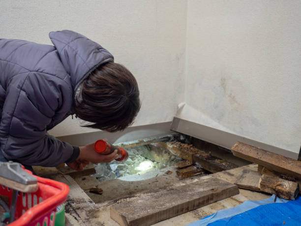 Best Attic Mold Removal  in Smithville Sanders, IN