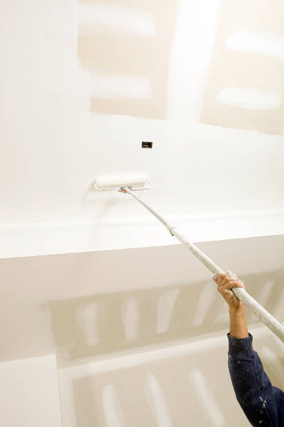 Best Basement Mold Removal  in Smithville Sanders, IN